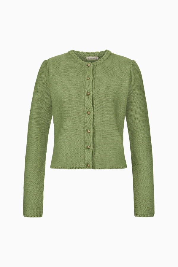 A004520 matcha 1